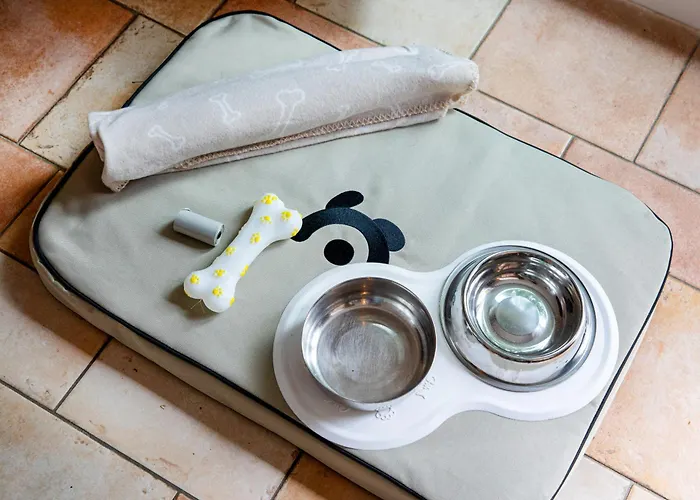 Fleesensee - 5 Min Zum See - Sauna - Eingezaeunter Garten - Hunde Willkommen Feriehus Göhren-Lebbin