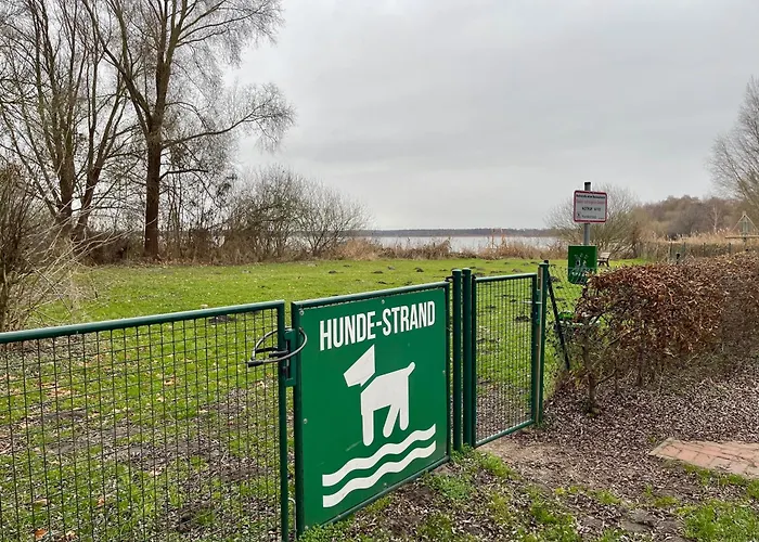 Fleesensee - 5 Min Zum See - Sauna - Eingezaeunter Garten - Hunde Willkommen Feriehus